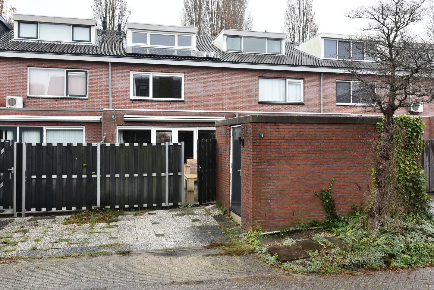 Photo 20 of Bruine Lijster 16