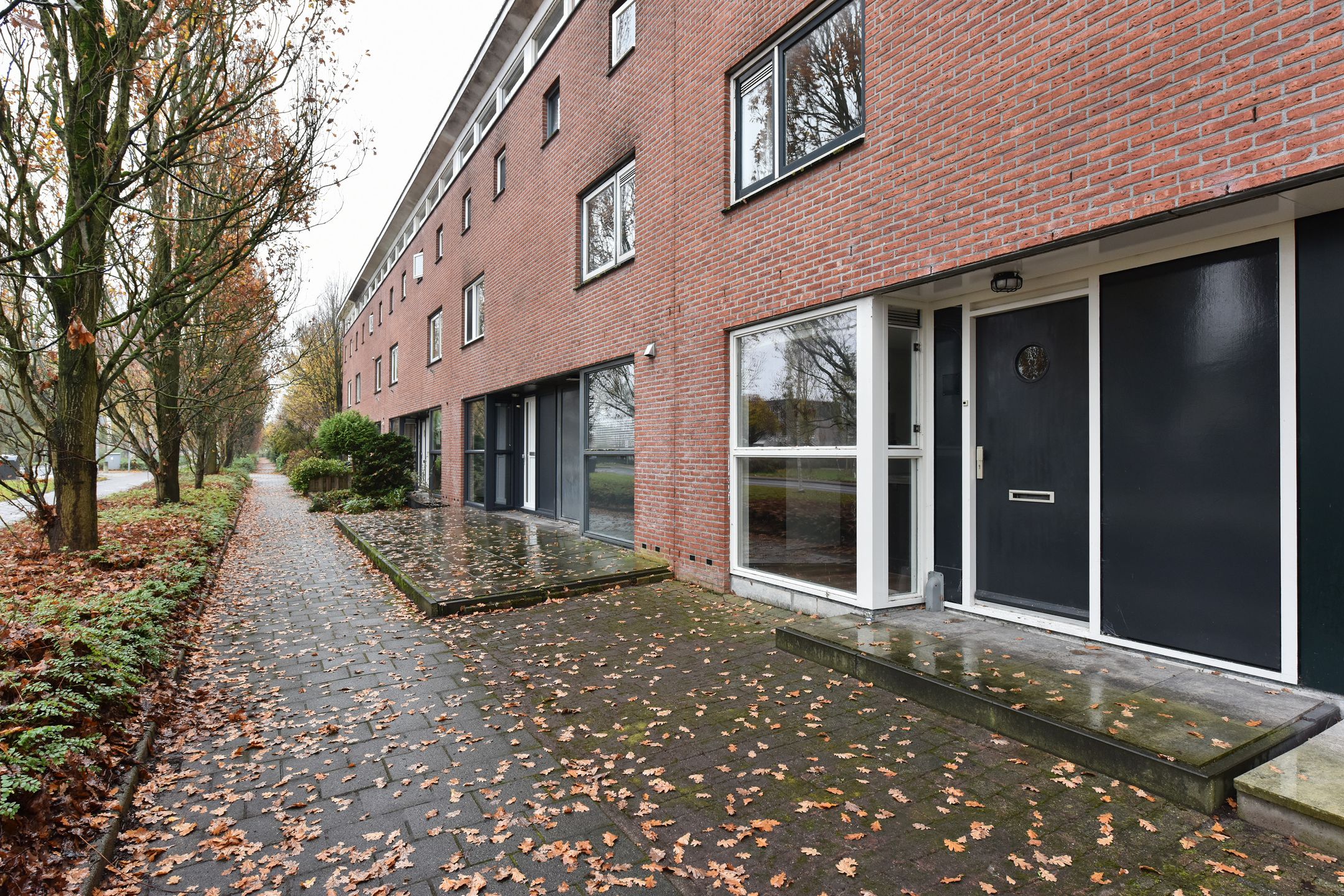 Photo 21 of Bruine Lijster 16