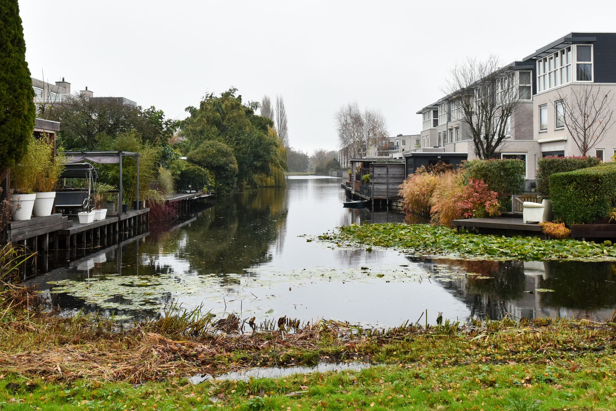 Photo 24 of Bruine Lijster 16