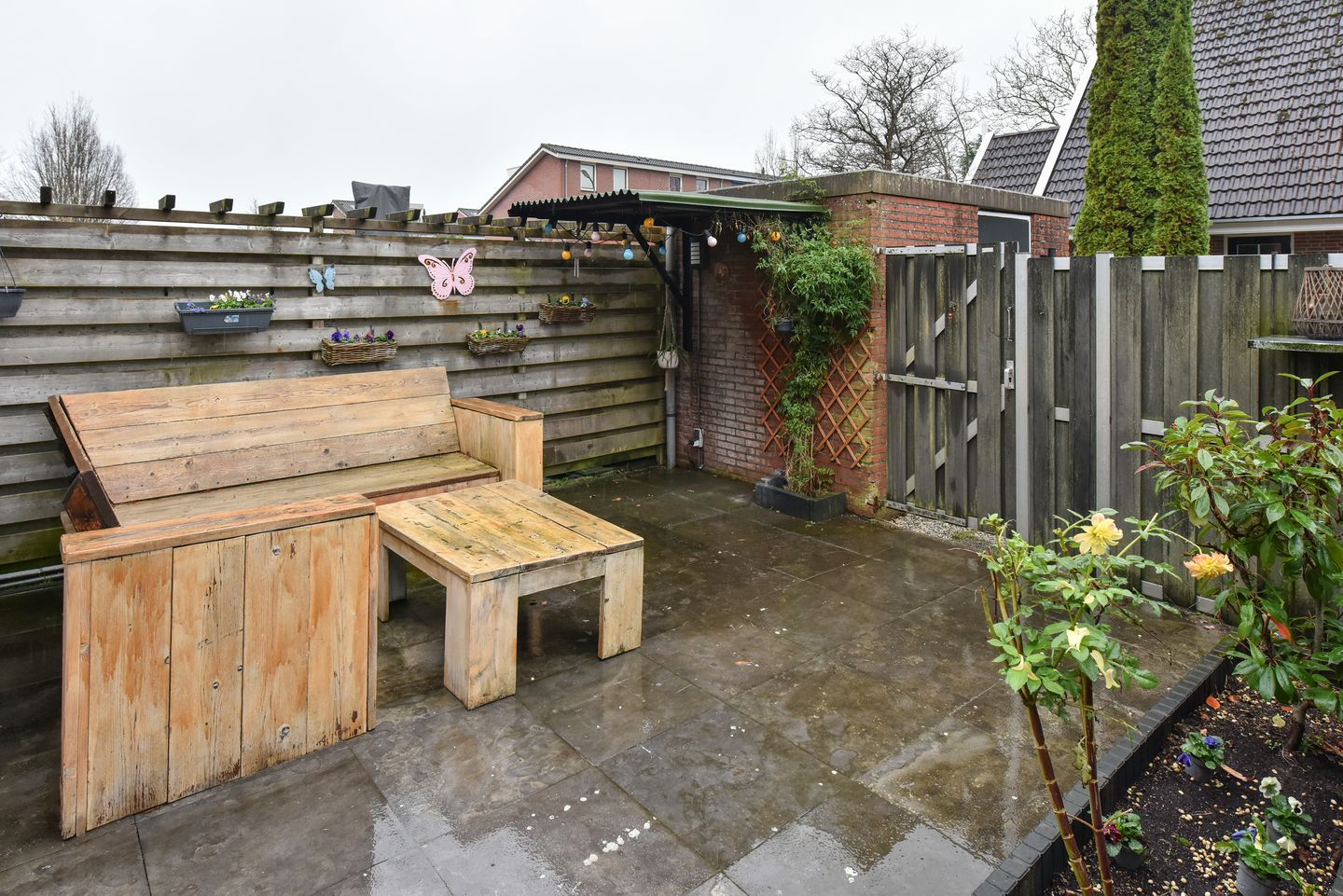 Photo 19 of Bruine Lijster 16