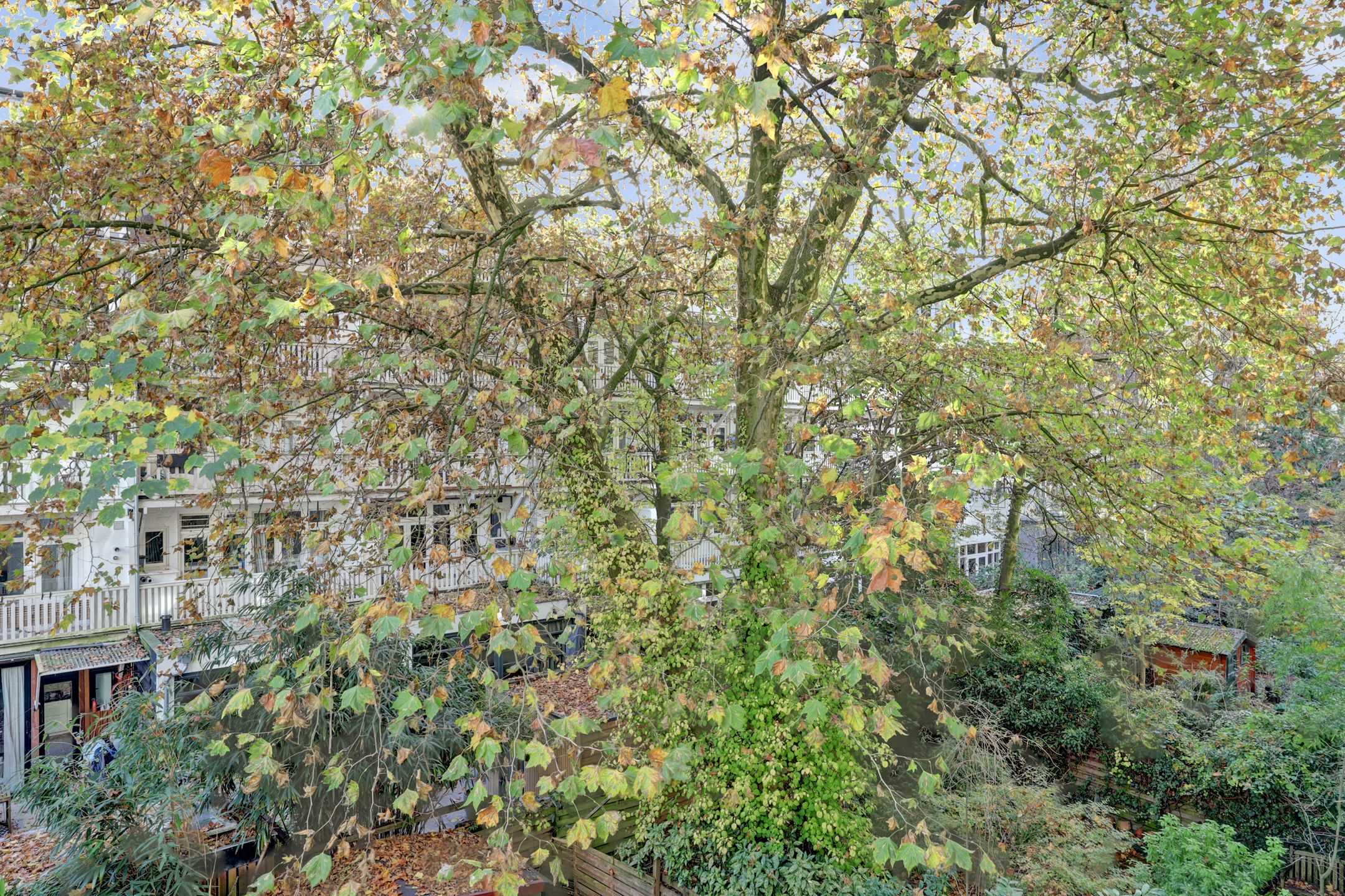 Foto 30 van Jacob van Lennepkade 113-2