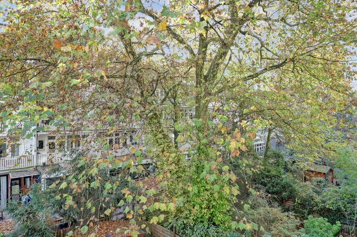 Photo 30 of Jacob van Lennepkade 113-2