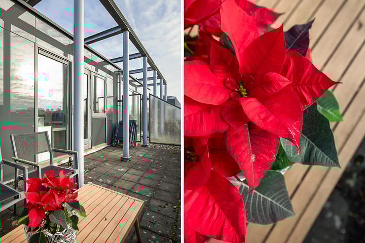 Foto 47 van Vledderveld 1