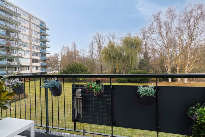 Foto 30 van Apollolaan 528