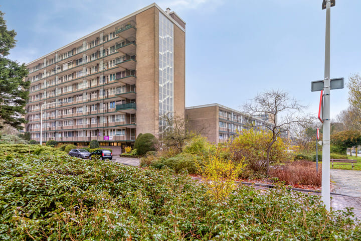 Foto 34 van Apollolaan 528