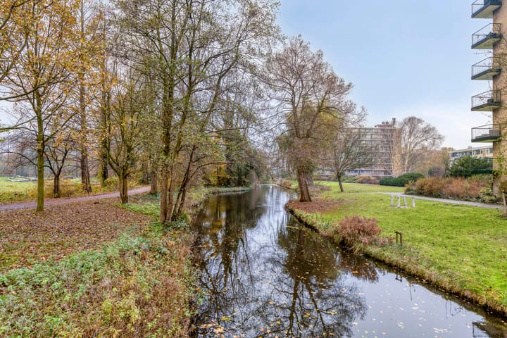 Foto 36 van Apollolaan 528