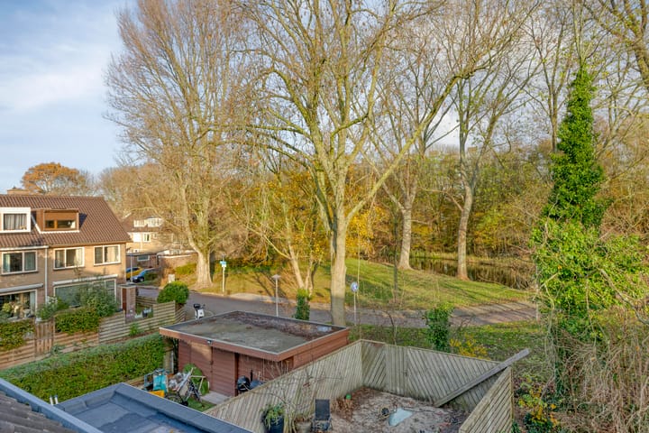 Foto 29 van Rooseveltlaan 14