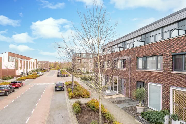 Photo 2 of Muntmeester 169