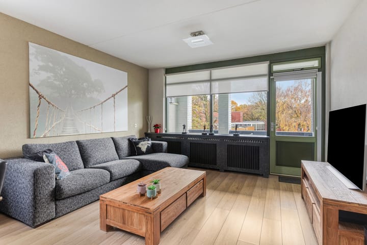 Photo 2 of Gender 60