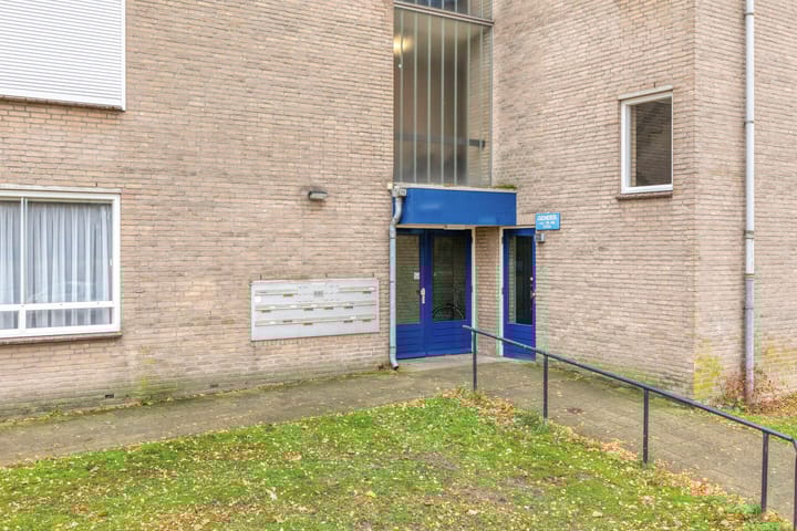 Photo 8 of Gender 60