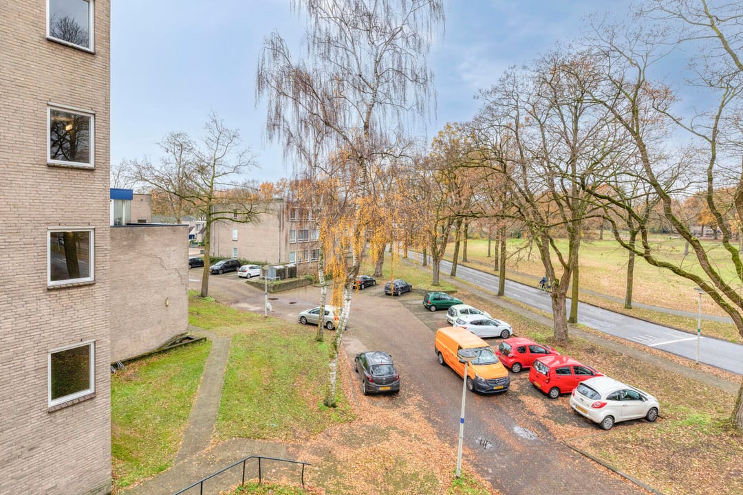 Foto 31 van Gender 60