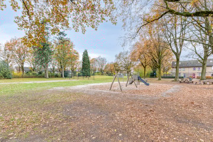 Photo 32 of Gender 60