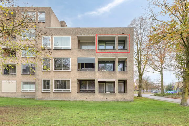 Photo 30 of Gender 60