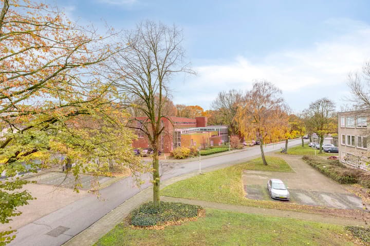 Photo 34 of Gender 60