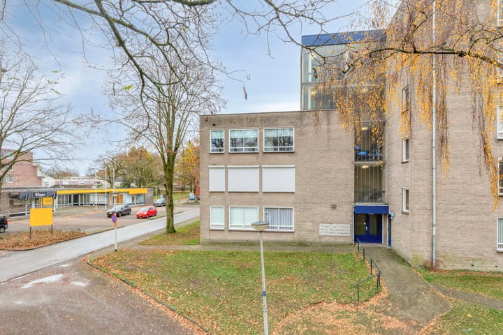 Photo 7 of Gender 60