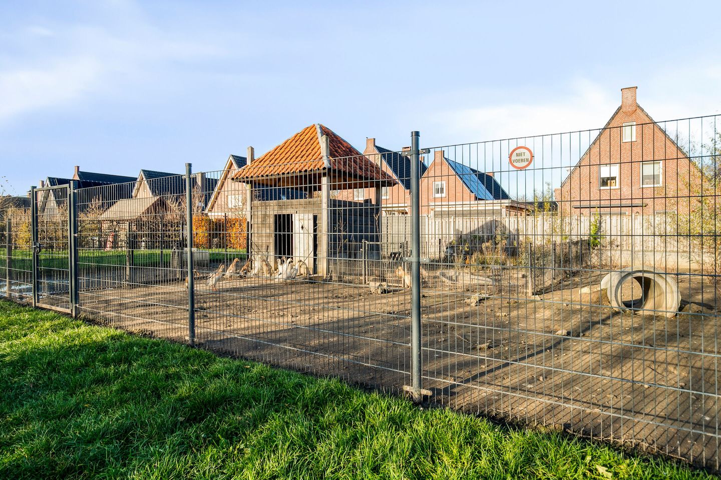 Foto 35 van Molendwarsstraat 9