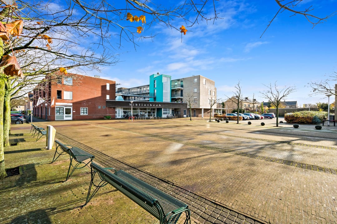 Foto 2 van Fluitekruid 42