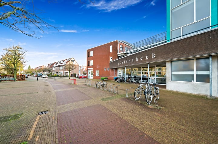 Foto 4 van Fluitekruid 42