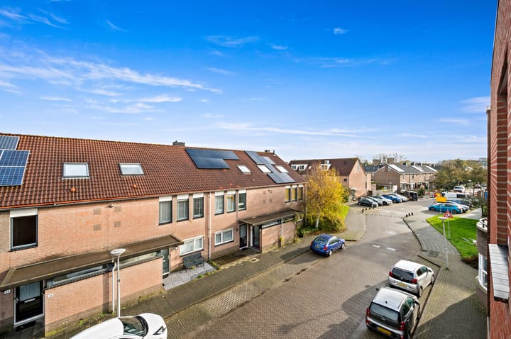 Foto 15 van Fluitekruid 42