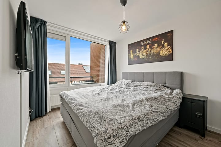 Foto 23 van Fluitekruid 42