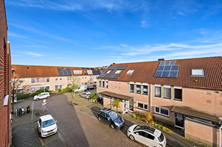 Foto 16 van Fluitekruid 42