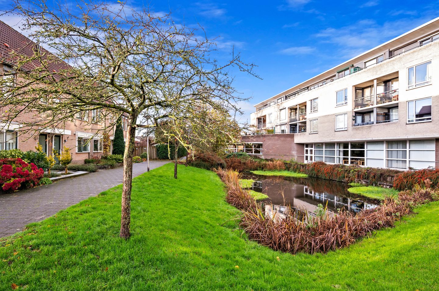 Foto 34 van Fluitekruid 42