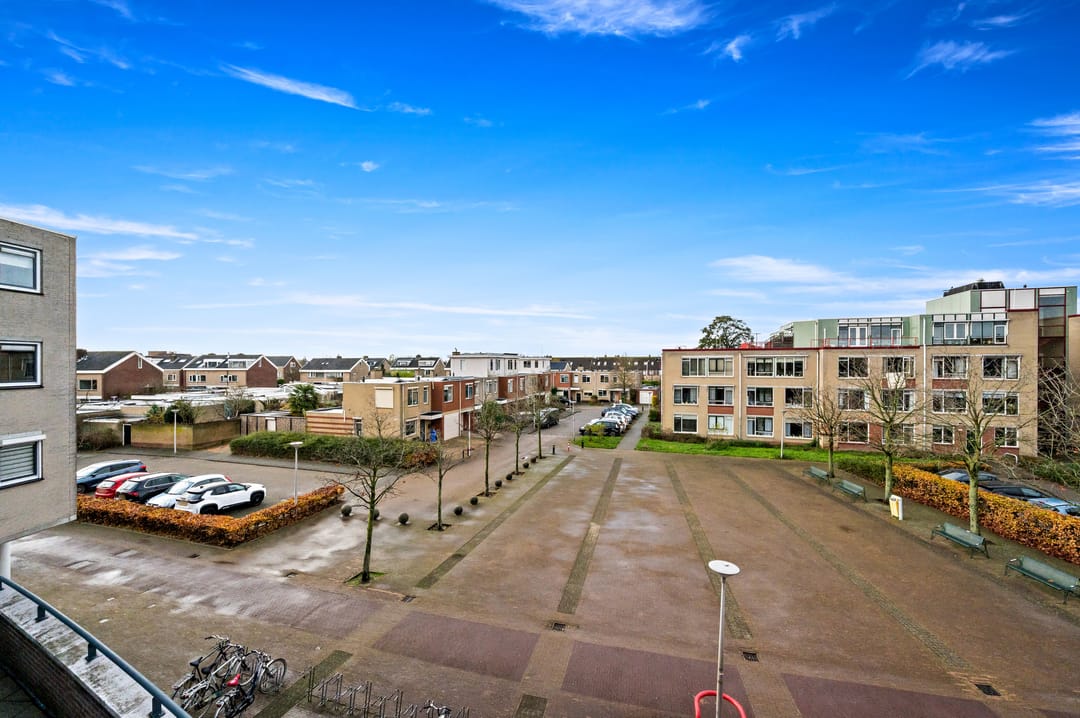 Foto 32 van Fluitekruid 42