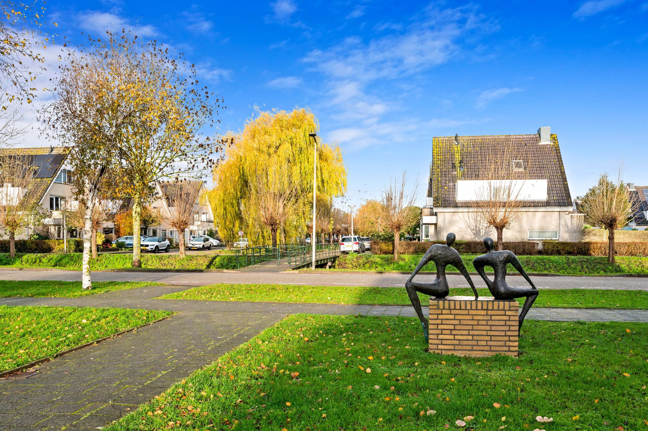 Foto 36 van Fluitekruid 42