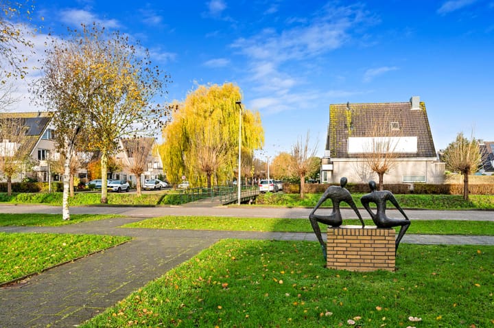 Foto 36 van Fluitekruid 42