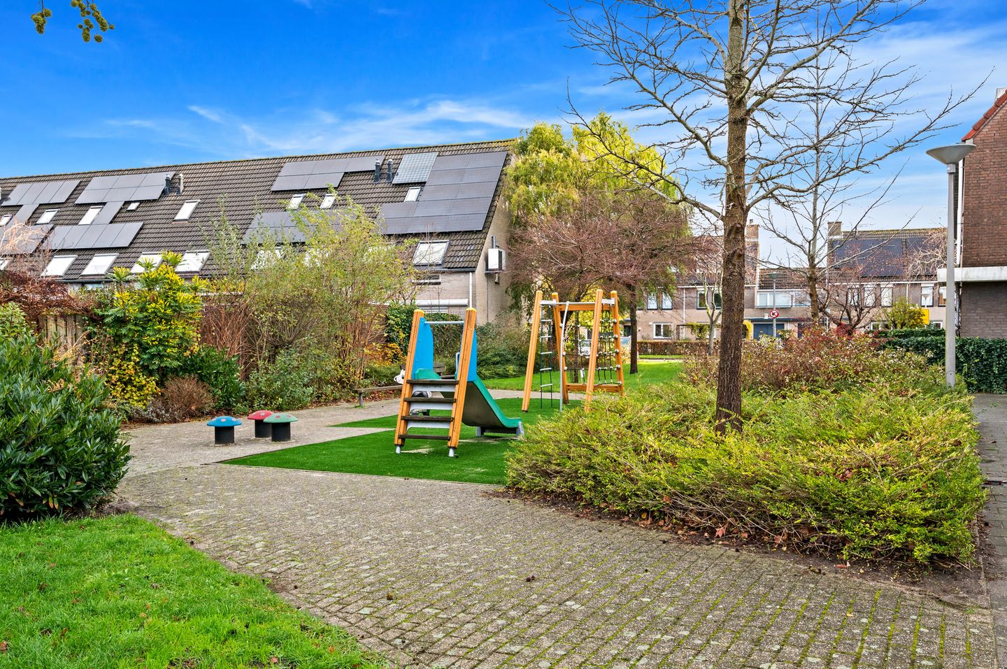 Foto 35 van Fluitekruid 42