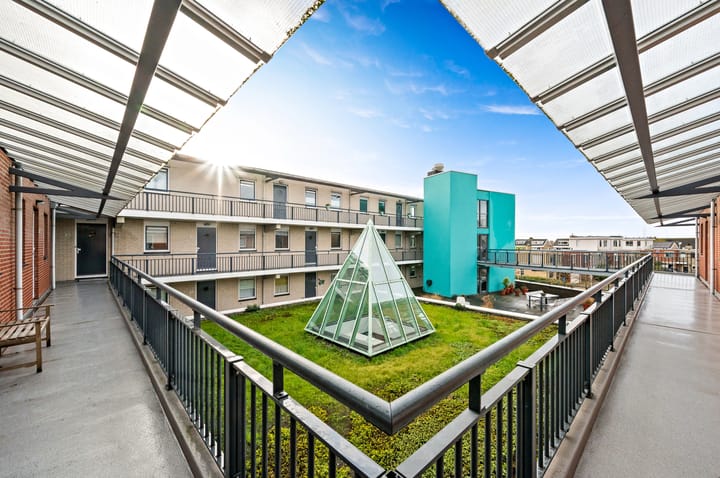 Foto 5 van Fluitekruid 42