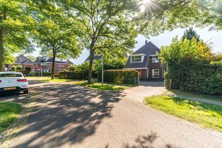 Foto 5 van Guirlande 67