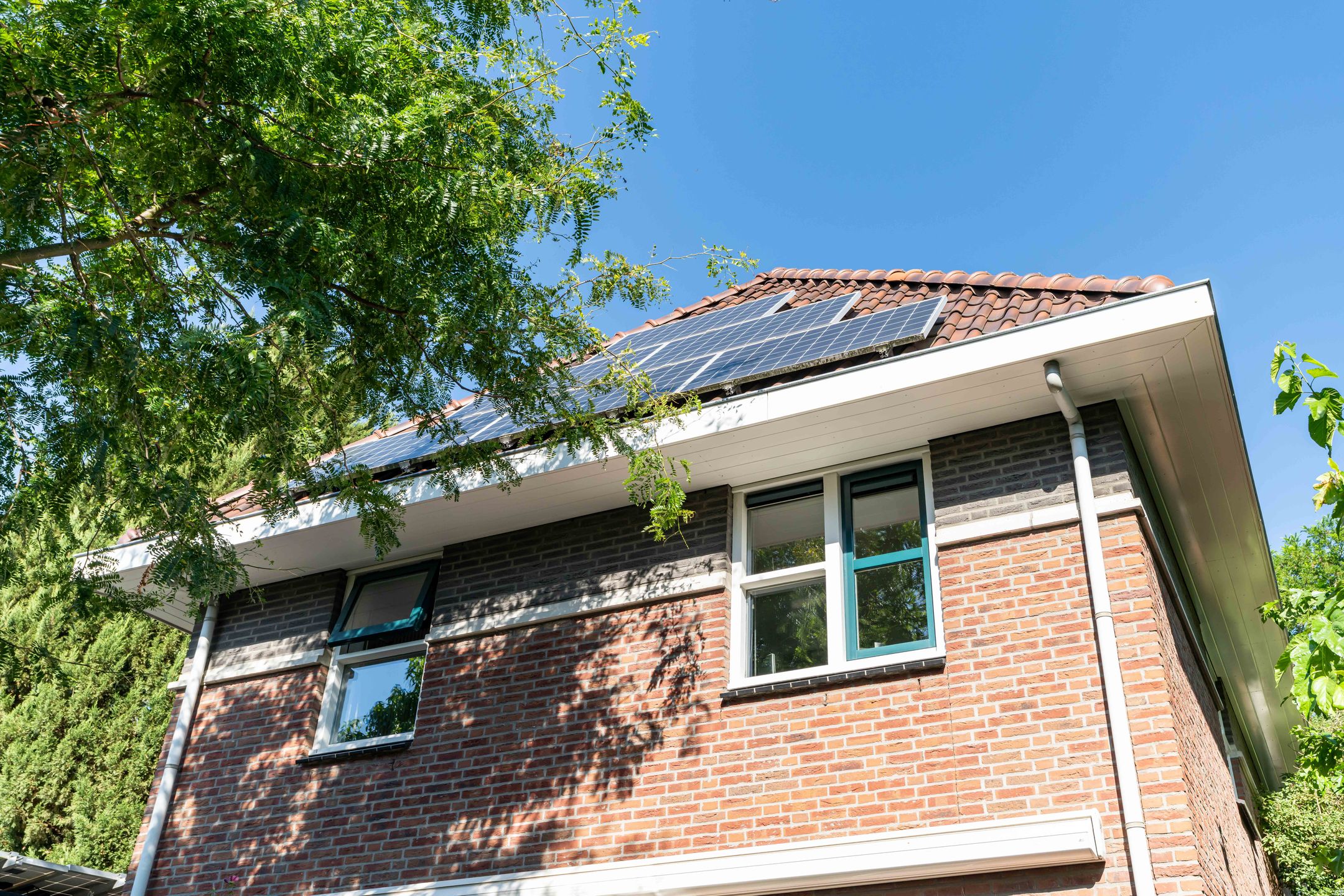 Foto 24 van Guirlande 67