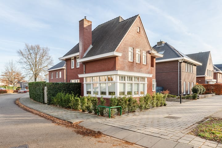 Photo 3 of Rapunzel 2