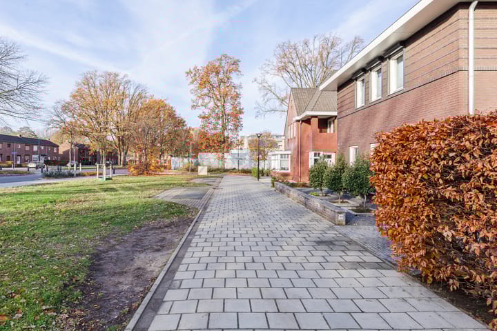 Photo 5 of Rapunzel 2