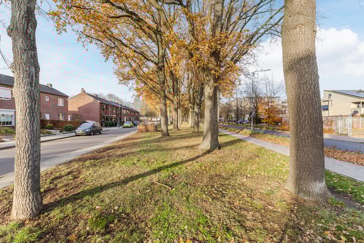 Foto 55 van Rapunzel 2