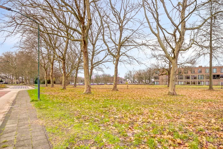 Foto 33 van Nachtegaallaan 3