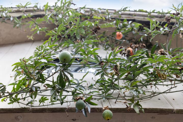 Foto 4 van Koningstraat 51