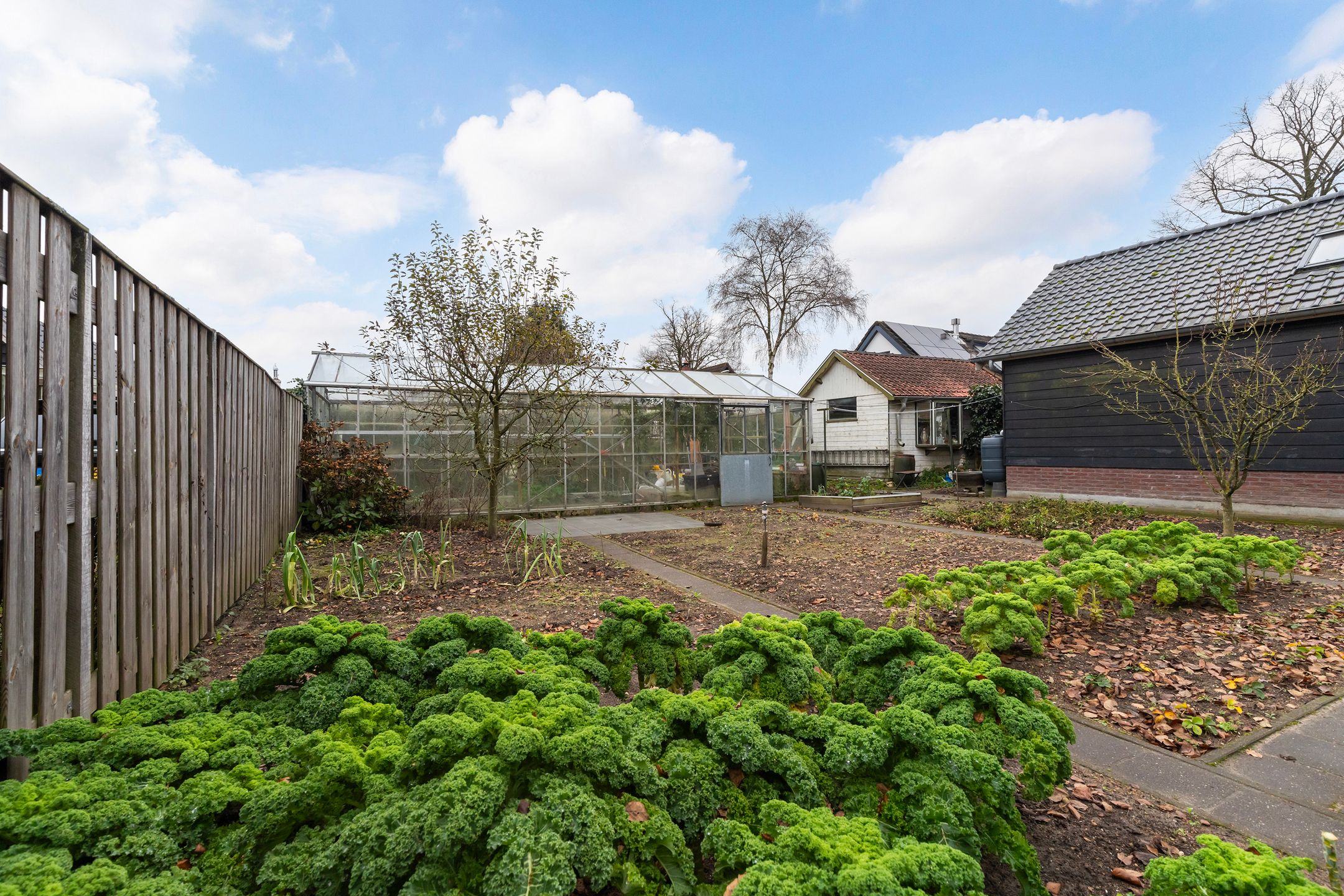 Foto 45 van Koningstraat 51