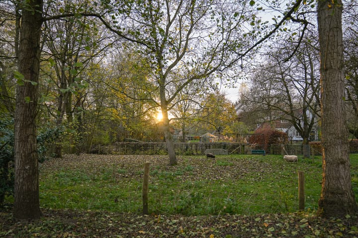 Foto 54 van Waaldijk 85