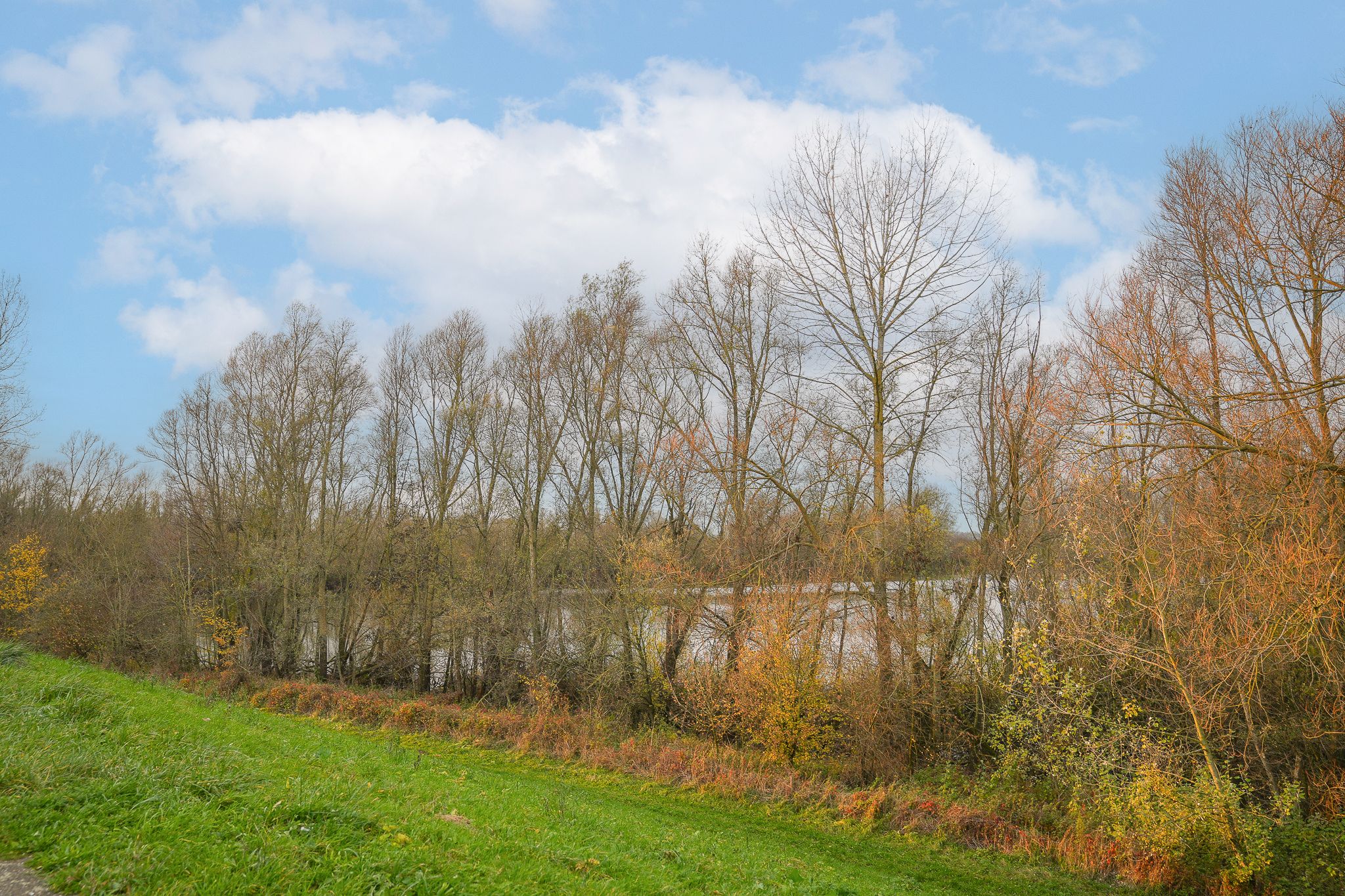 Foto 66 van Waaldijk 85