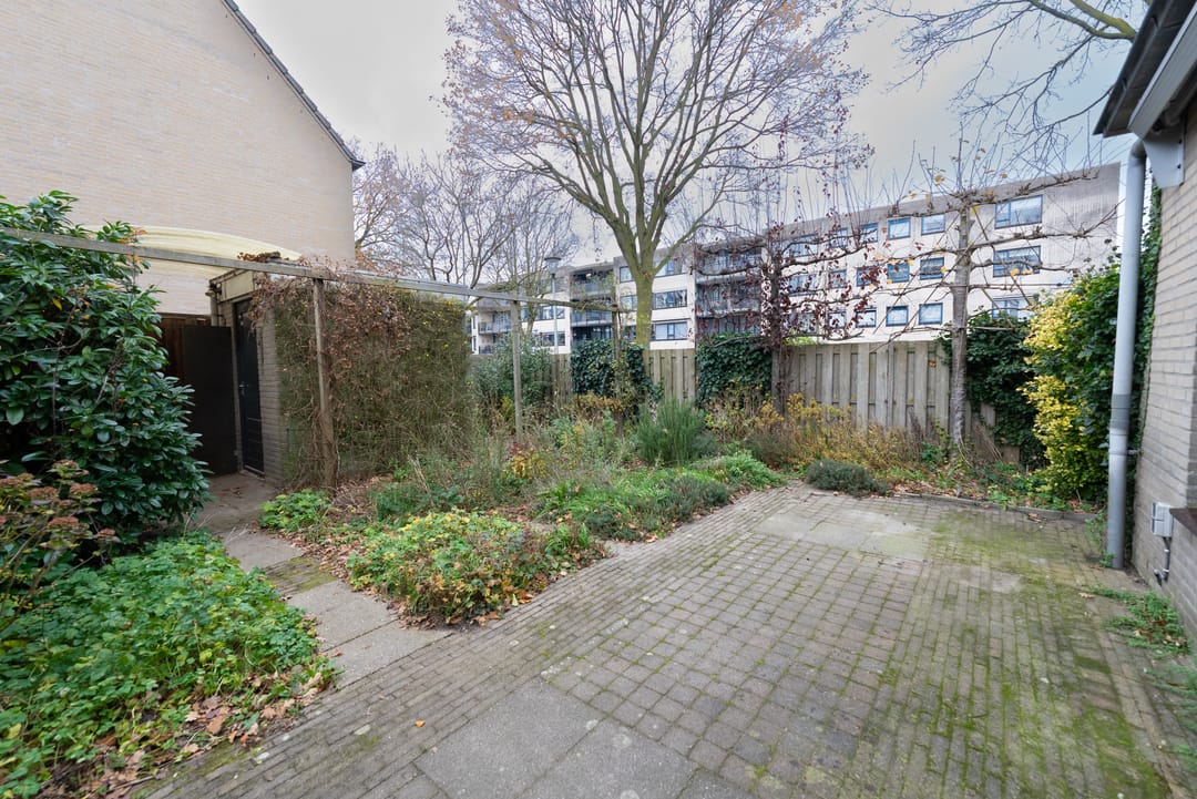 Photo 37 of Banier 1