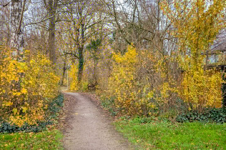 Photo 46 of Fivel 61