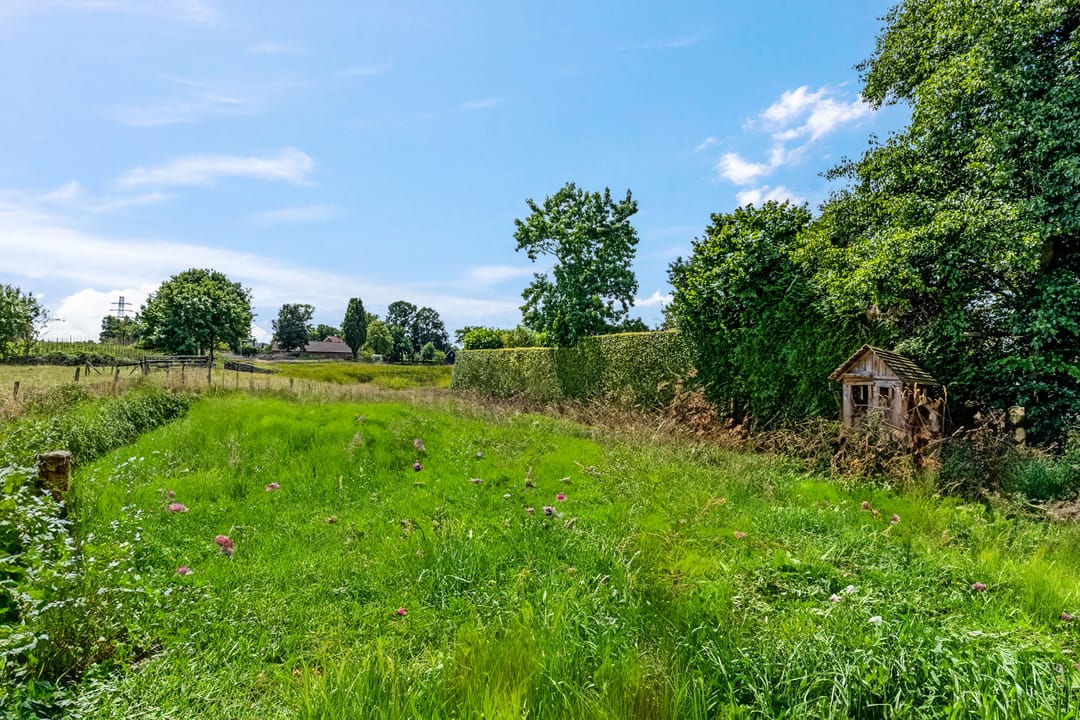 Foto 7 van Dijkgraaf 17