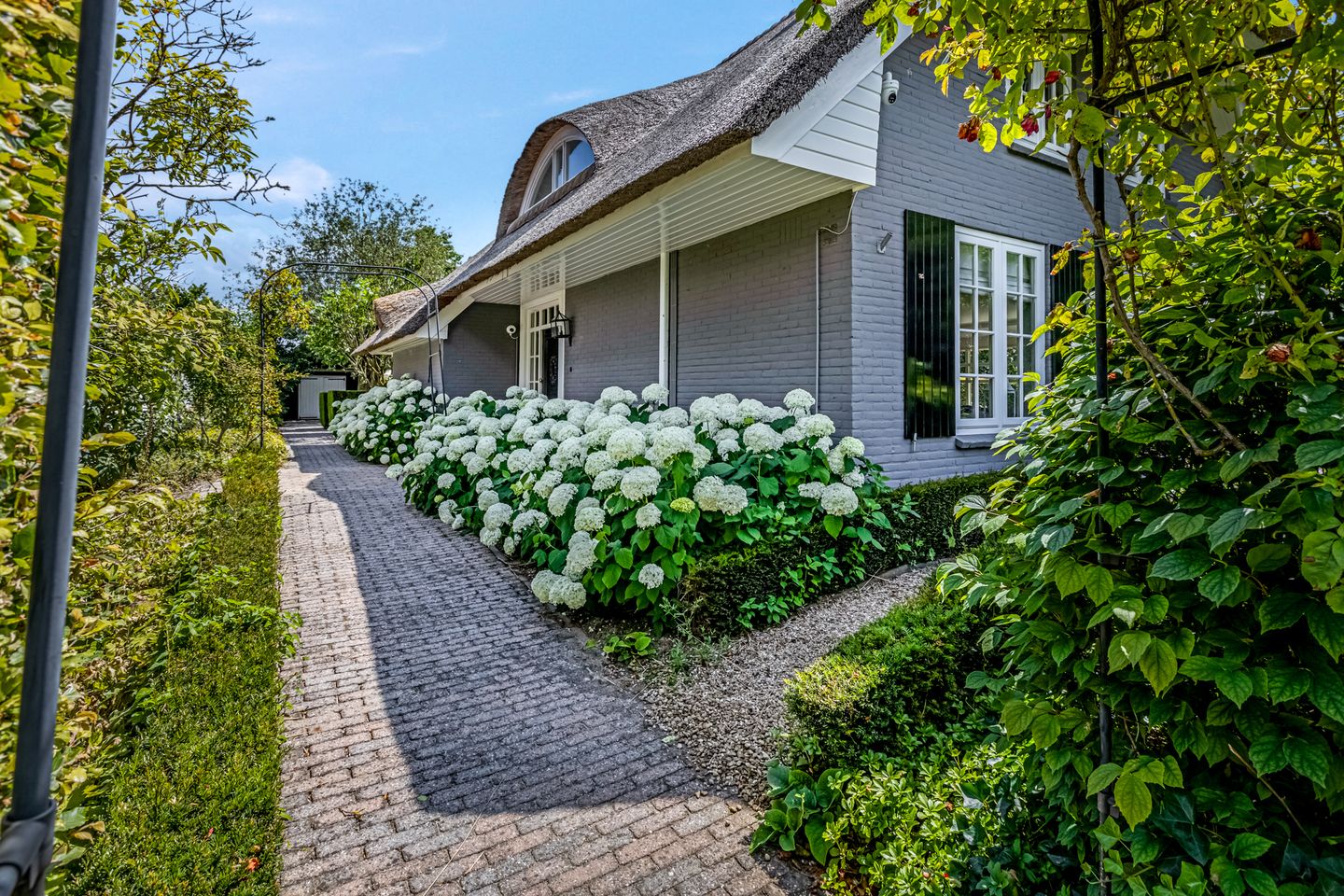 Foto 5 van Dijkgraaf 17