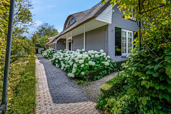 Foto 5 van Dijkgraaf 17