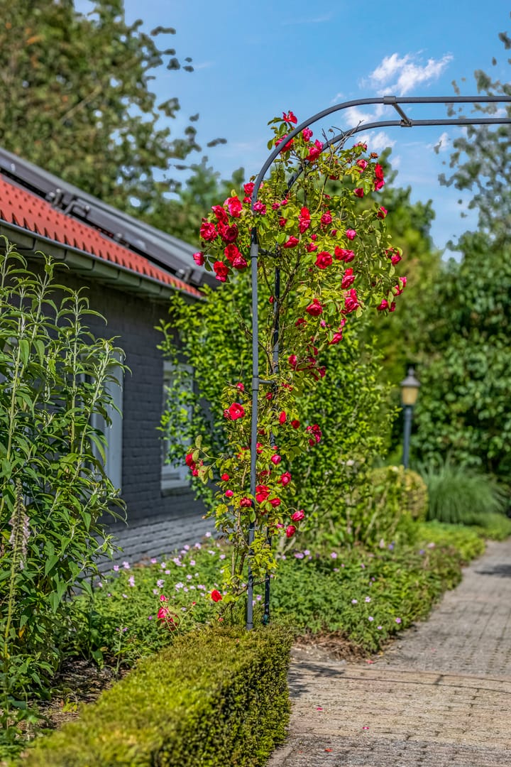 Foto 56 van Dijkgraaf 17