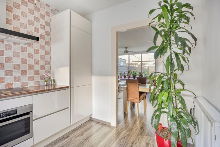 Foto 11 van Aardbeiengaard 10