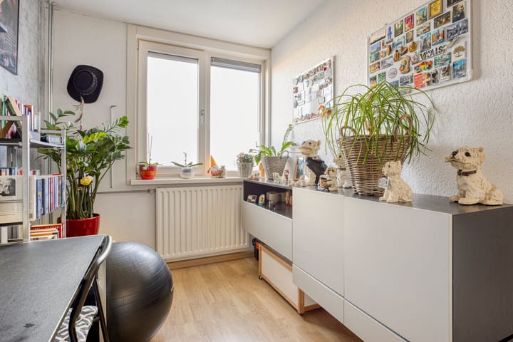 Foto 19 van Aardbeiengaard 10