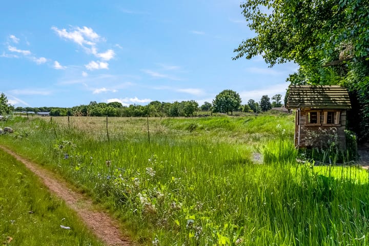 Foto 71 van Dijkgraaf 17